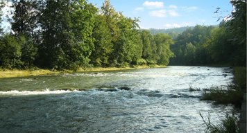Olomoucký kraj podpoří finančním darem odklízení otrávené řeky Bečvy